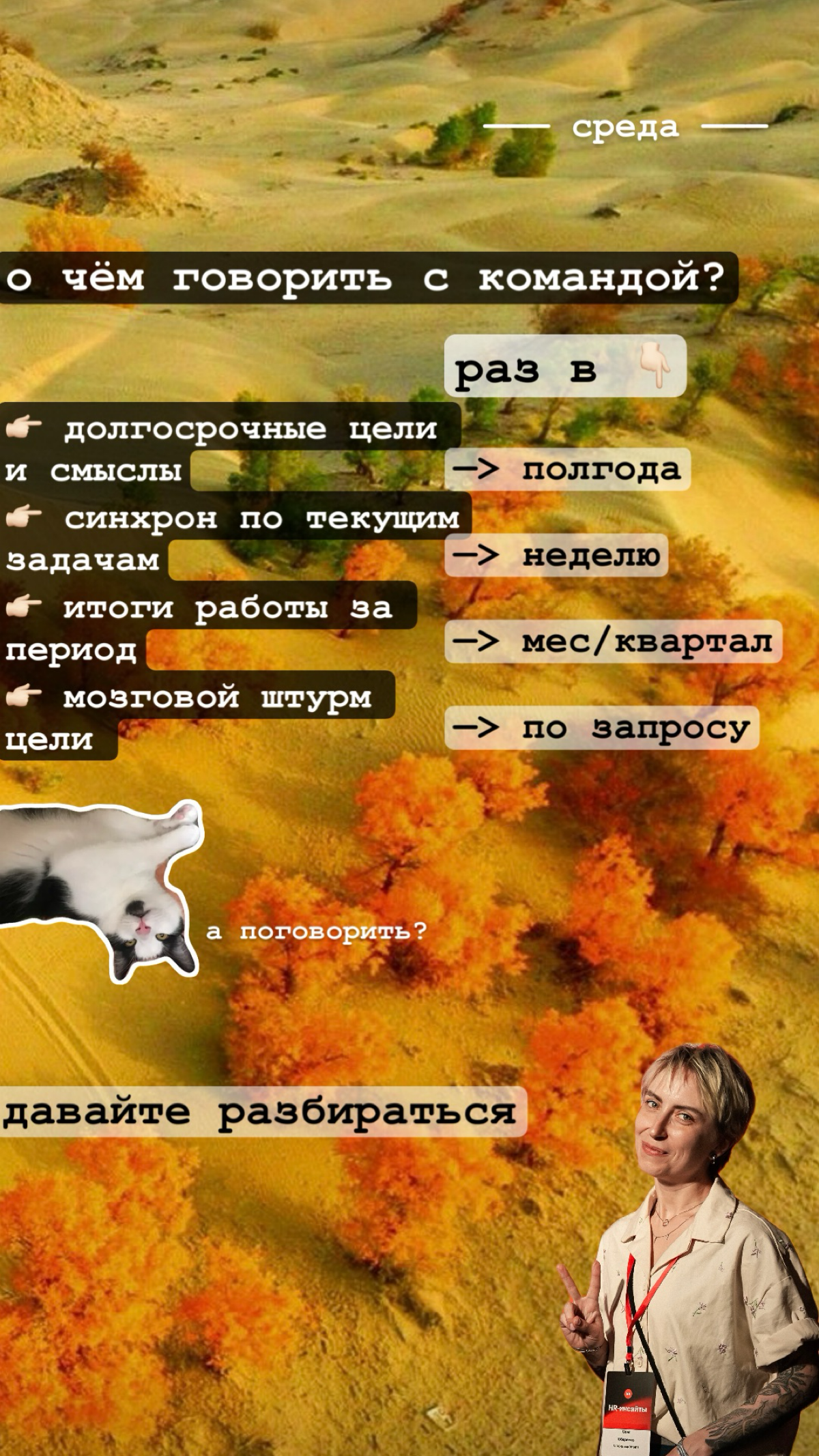 Мысли дня | Сетка — социальная сеть от hh.ru
