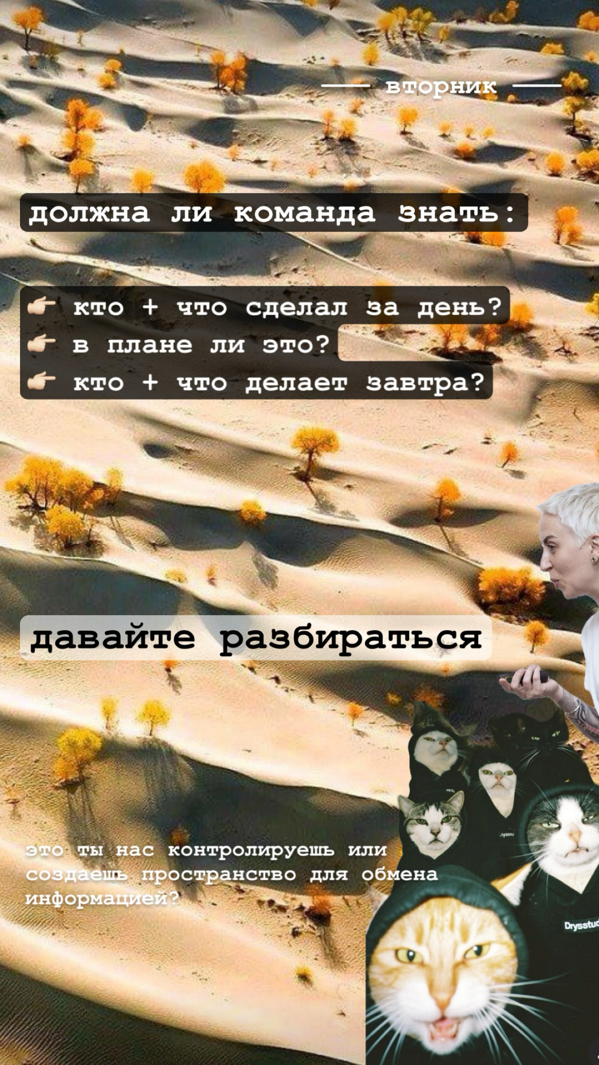 Мысли дня | Сетка — социальная сеть от hh.ru