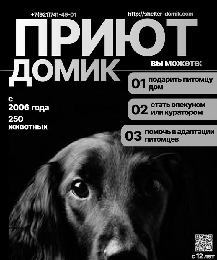 афиши | Сетка — социальная сеть от hh.ru