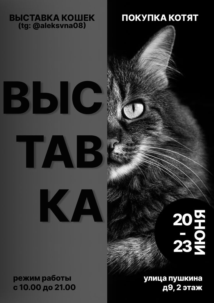 афиши | Сетка — социальная сеть от hh.ru