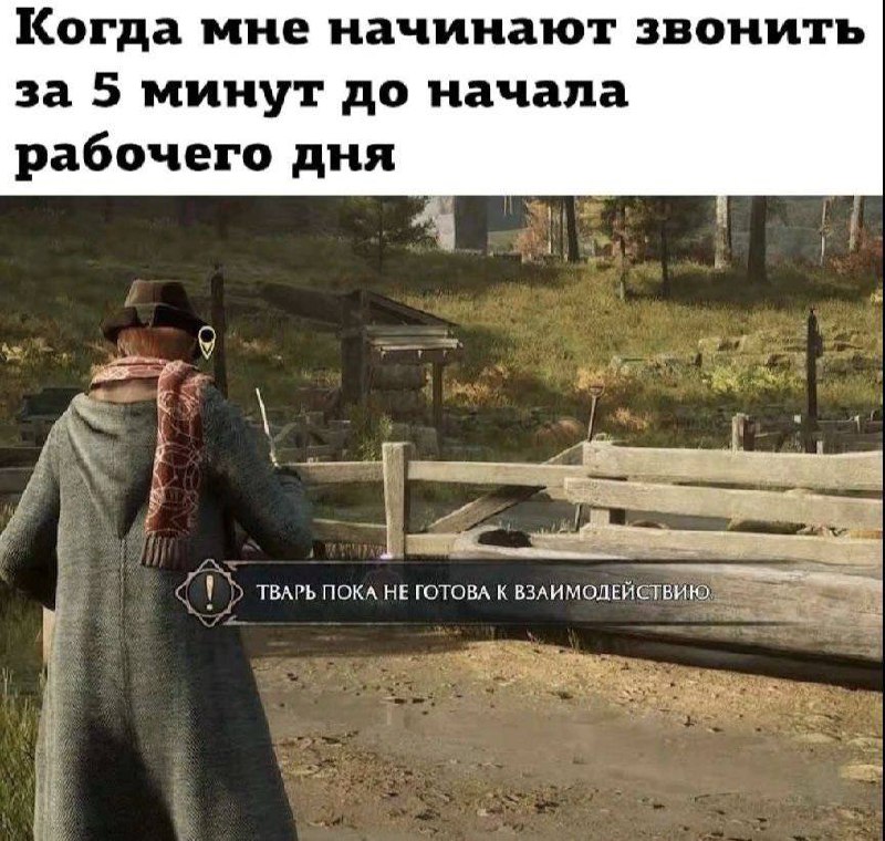 С добрым утром понедельника
#мемы | Сетка — социальная сеть от hh.ru