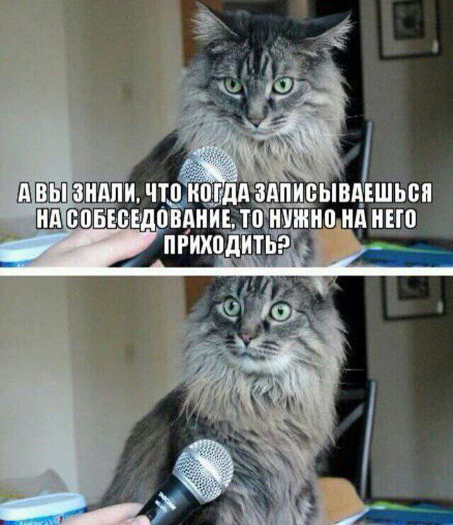 Боль рекрутера | Сетка — социальная сеть от hh.ru