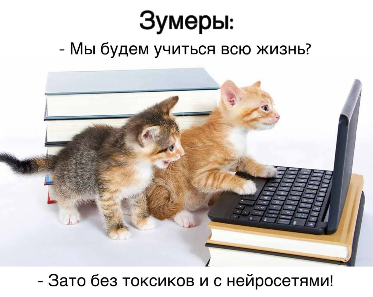Зумеры рассказали, что ждут от своей карьеры в будущем | Сетка — социальная сеть от hh.ru