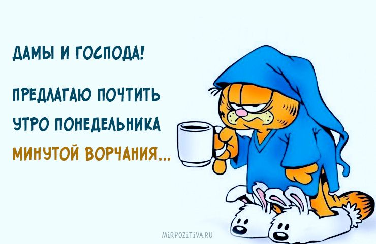Всех с понедельнишним утром! | Сетка — социальная сеть от hh.ru