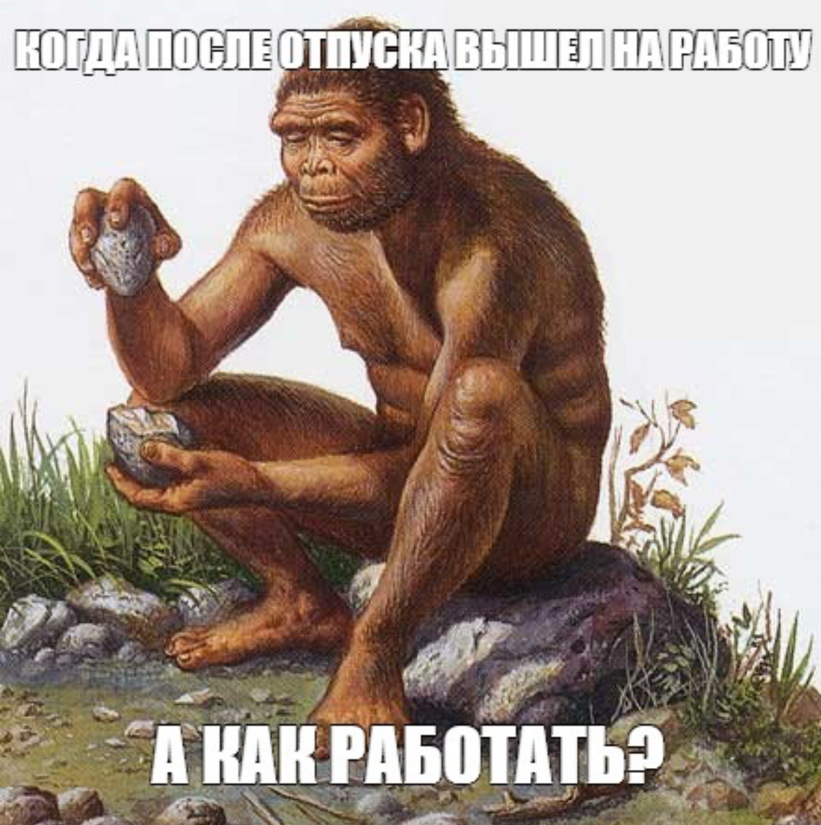Это я сегодня. Кто такой же ? Хау ду ю ду ? Делитесь 😁 | Сетка — социальная сеть от hh.ru