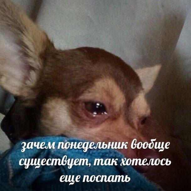 Всех с понедельником, друзья! Продуктивной вам недели🔥❤️ | Сетка — социальная сеть от hh.ru