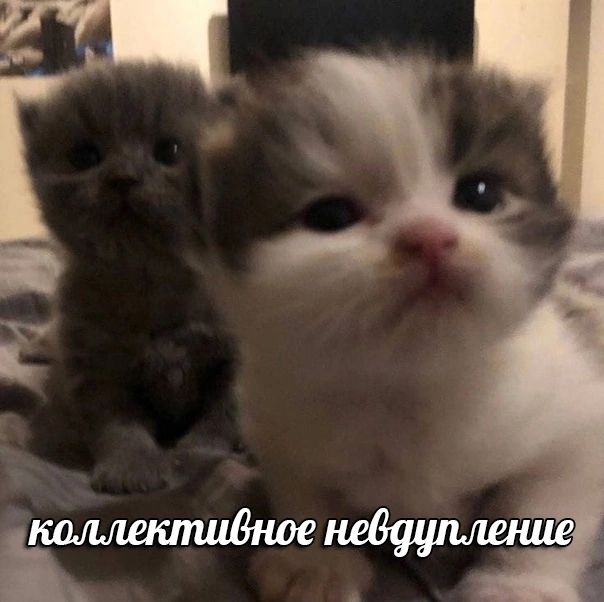 Понедельник | Сетка — социальная сеть от hh.ru