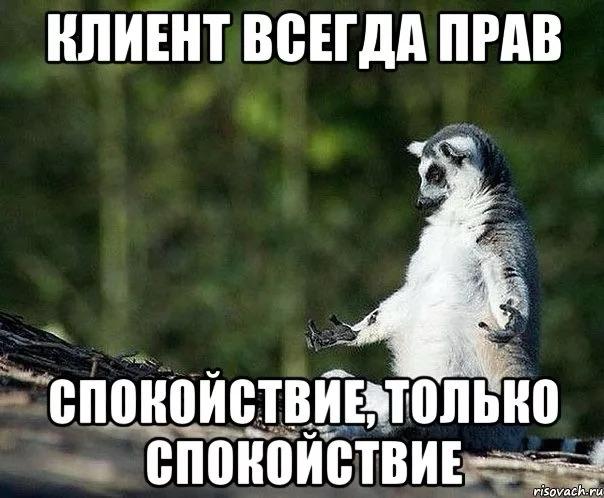 Клиент всегда неправ (и это прекрасно) | Сетка — социальная сеть от hh.ru