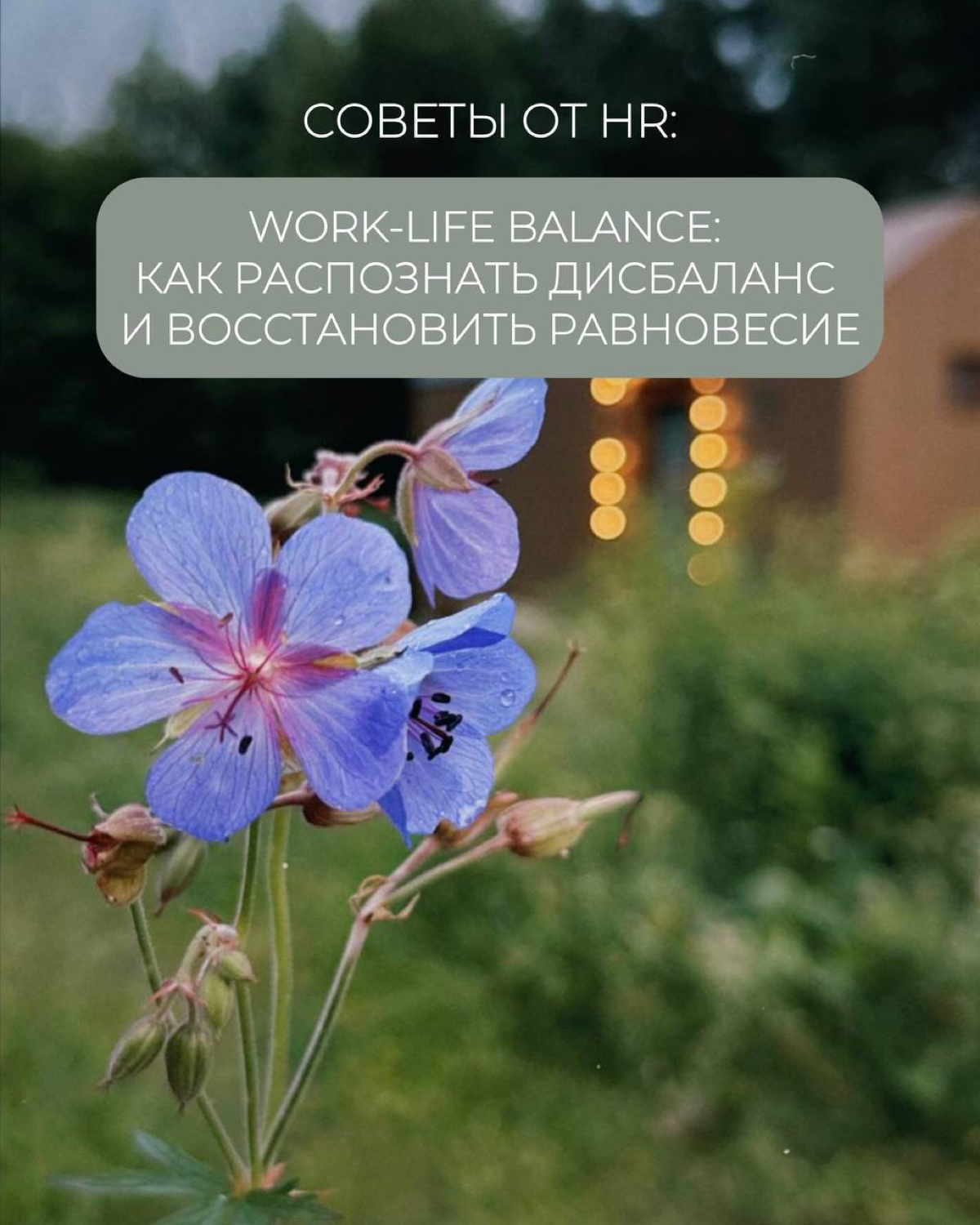 Work-Life Balance: как распознать… | Сетка — социальная сеть от hh.ru