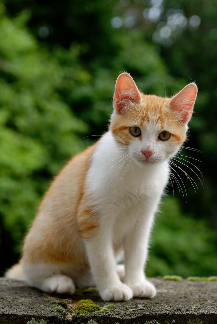 🐈Выставка «Возьми собаку и кота»
24 августа 11:00-18:00
💜 60 собак и 70 котов для вас
💜 сбор помощи животным
💜 лотерея и подарки
💜 ветеринары и кинологи
Подробнее
▫️Вход свободный, необходима регистра... | Сетка — социальная сеть от hh.ru