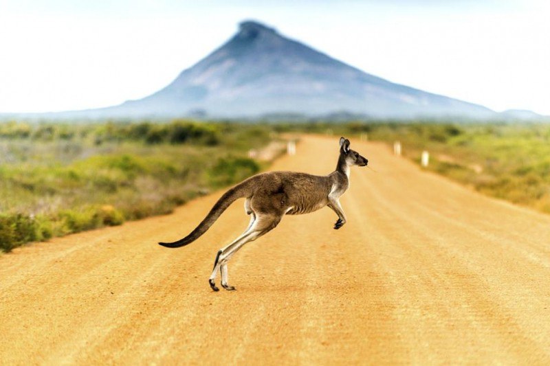 Airlines Flights From The U.S. To Australia
https://procreator.top/2025/08/18/four-airlines-add-new-non-stop-flights-from-the-u-s-to-australia/ | Сетка — социальная сеть от hh.ru