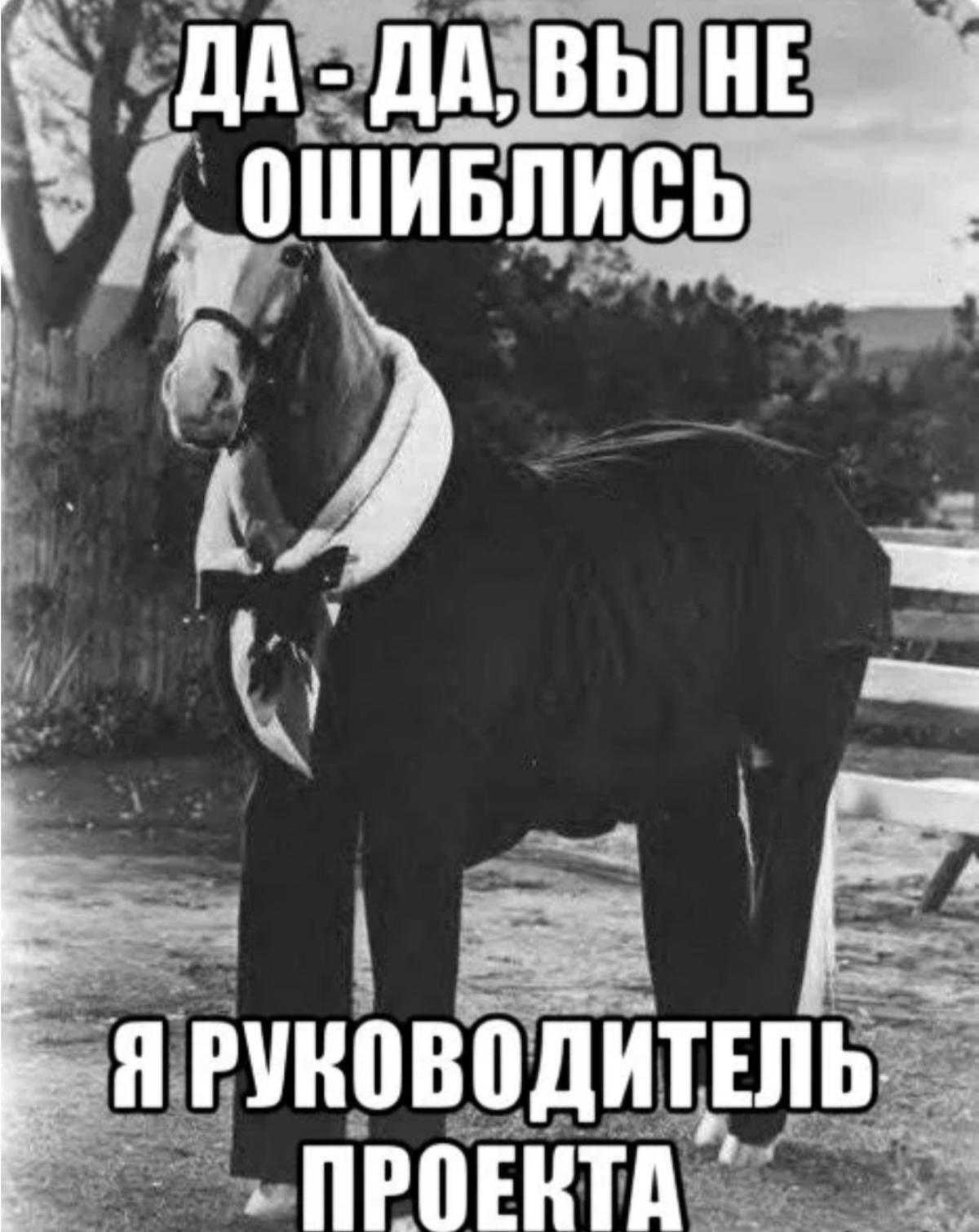 О курсах ПМ-ов замолвлю я слово... | Сетка — социальная сеть от hh.ru