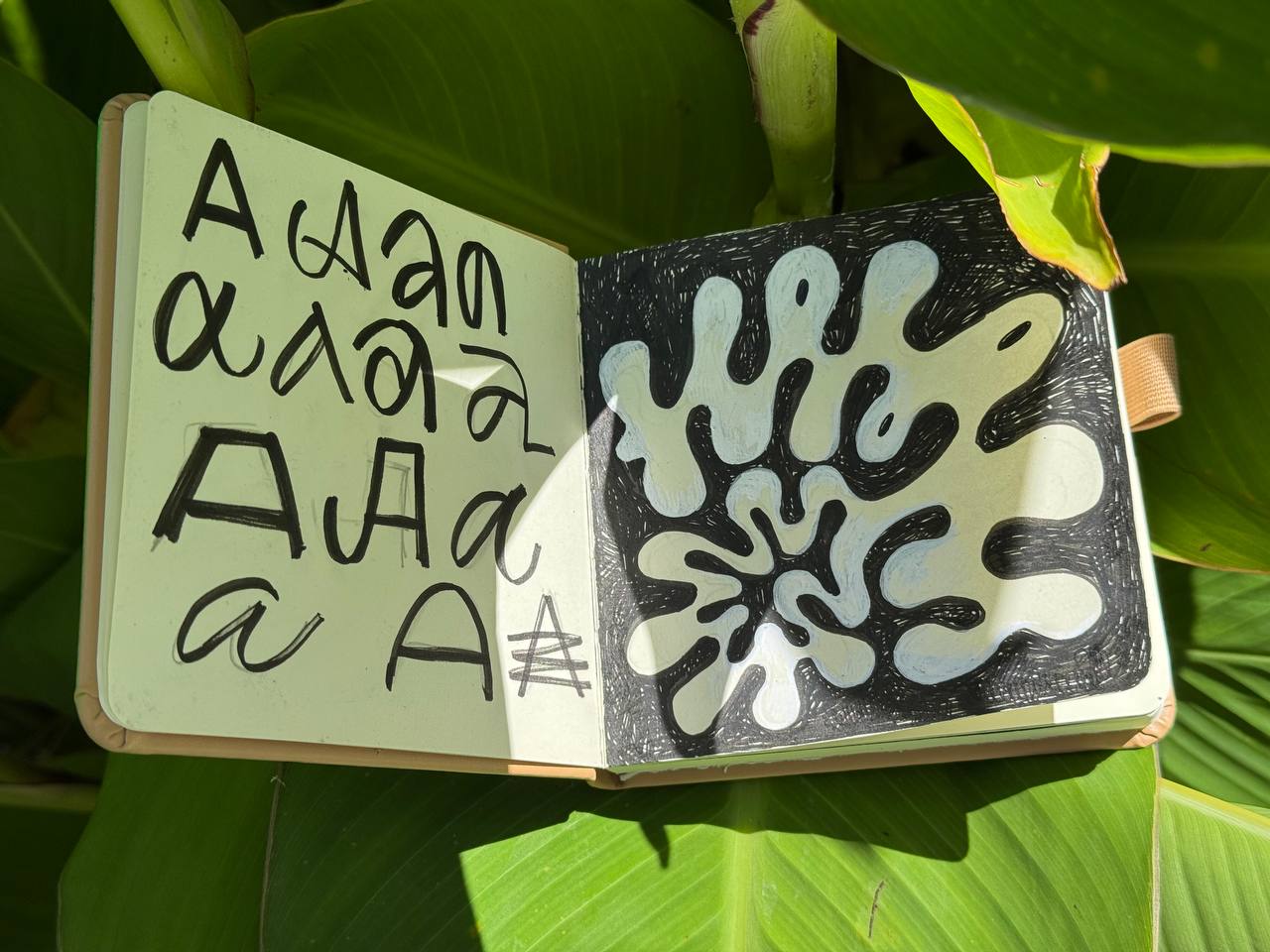 Блокнотная буква А
И поиски интересных графем.
Ещё я давно хотела собрать скетчбук с буквами, а тут такой хороший повод!
#буквальныйчеллендж #букваа2025 | Сетка — социальная сеть от hh.ru