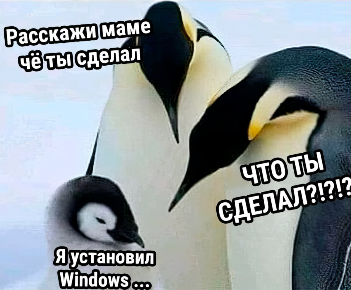 Это как минимум административка | Сетка — социальная сеть от hh.ru