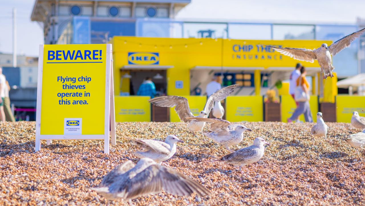 Плакаты с помётом чаек не единственный креатив IKEA в Брайтоне. Они также открыли киоск страхования от кражи картошки фри чайками | Сетка — социальная сеть от hh.ru