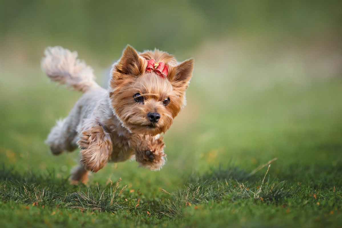 ТЕРПЕНИЕ ПРОТИВ ИНСТИНКТОВ: КАК ПОЙМАТЬ МГНОВЕНИЕ ДОВЕРИЯ? | Сетка — социальная сеть от hh.ru