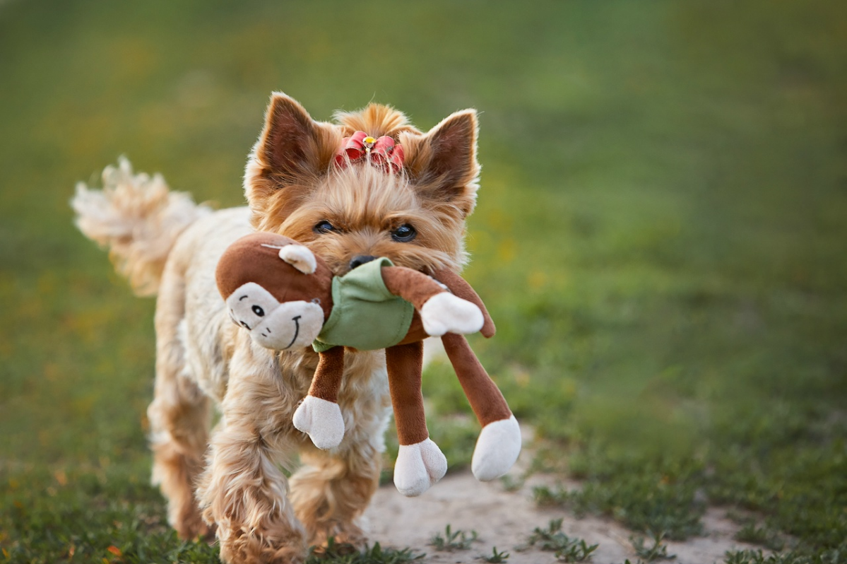 ТЕРПЕНИЕ ПРОТИВ ИНСТИНКТОВ: КАК ПОЙМАТЬ МГНОВЕНИЕ ДОВЕРИЯ? | Сетка — социальная сеть от hh.ru