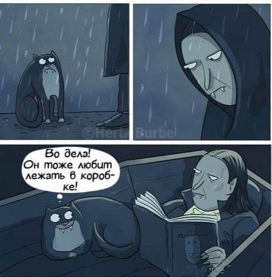 😺📦🦇🧛‍♂️ | Сетка — социальная сеть от hh.ru