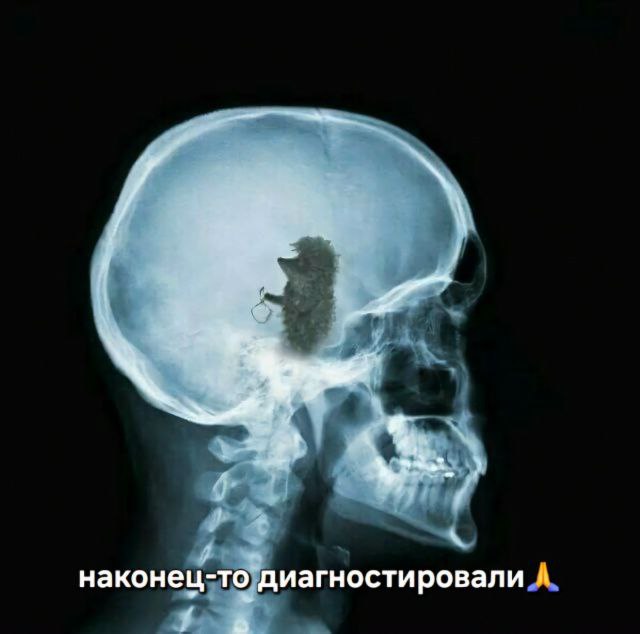 Сегодня вторник!
А значит что? Правильно - мемы!
PS. Бросайте свои в комменты | Сетка — социальная сеть от hh.ru