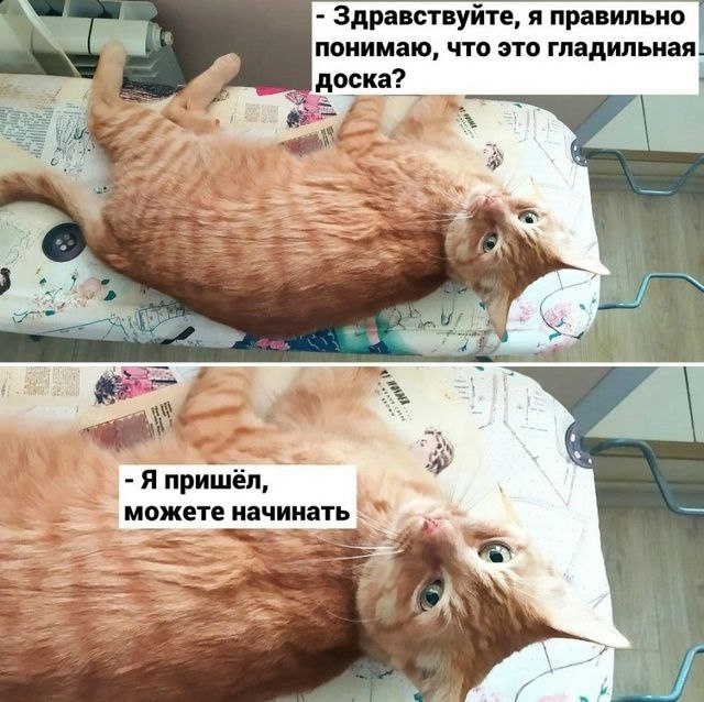 Сегодня вторник!
А значит что? Правильно - мемы!
PS. Бросайте свои в комменты | Сетка — социальная сеть от hh.ru