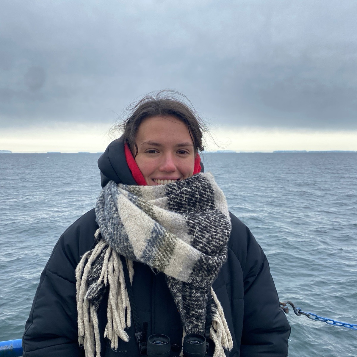 Анастасия Маковиз | Сетка — социальная сеть от hh.ru