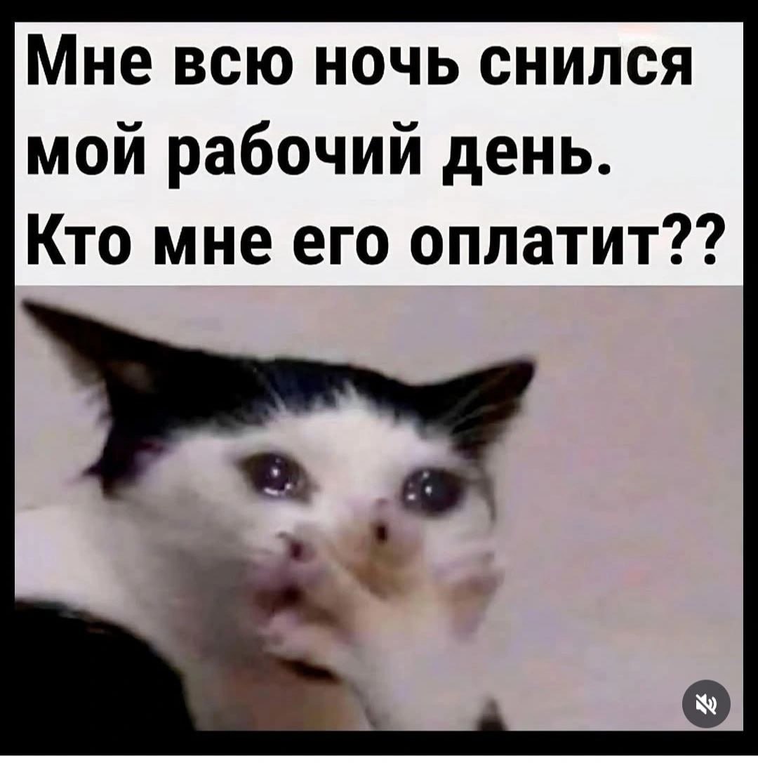 #life #work | Сетка — социальная сеть от hh.ru