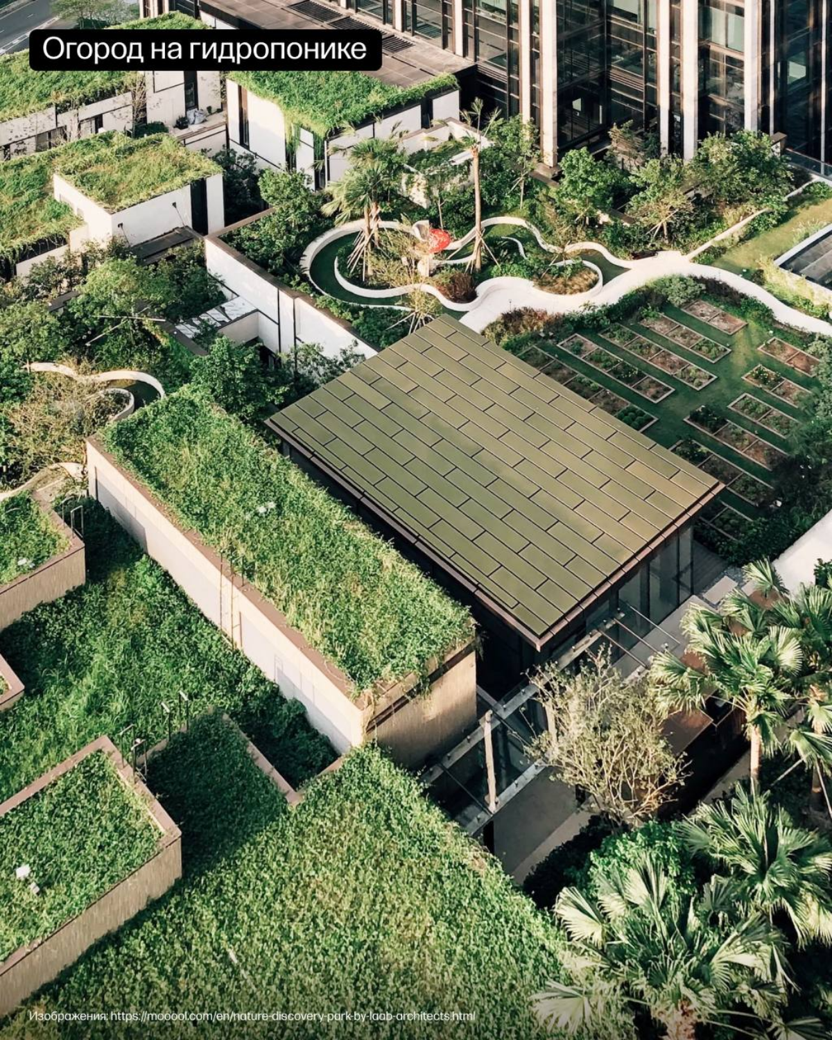 Nature Discovery Park: когда природа встречается с городом. | Сетка — социальная сеть от hh.ru