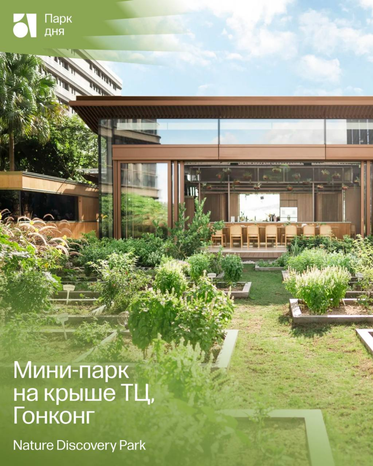 Nature Discovery Park: когда природа встречается с городом. | Сетка — социальная сеть от hh.ru