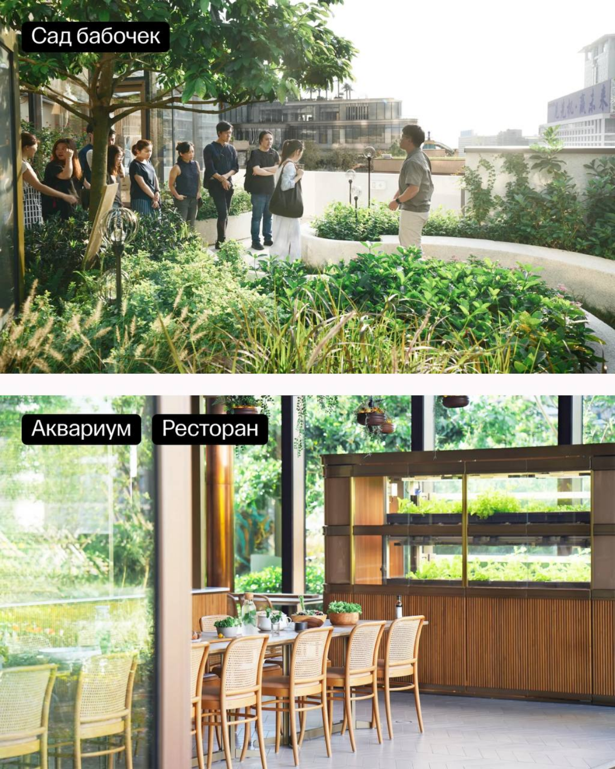 Nature Discovery Park: когда природа встречается с городом. | Сетка — социальная сеть от hh.ru