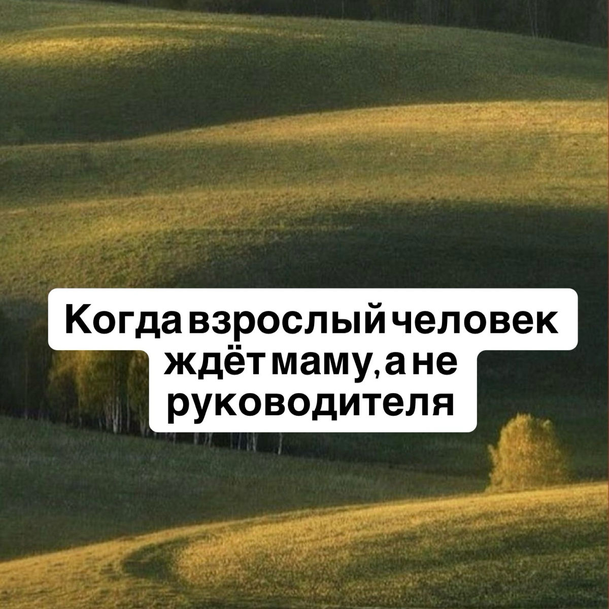 Когда взрослый человек ждёт маму, а не руководителя | Сетка — социальная сеть от hh.ru