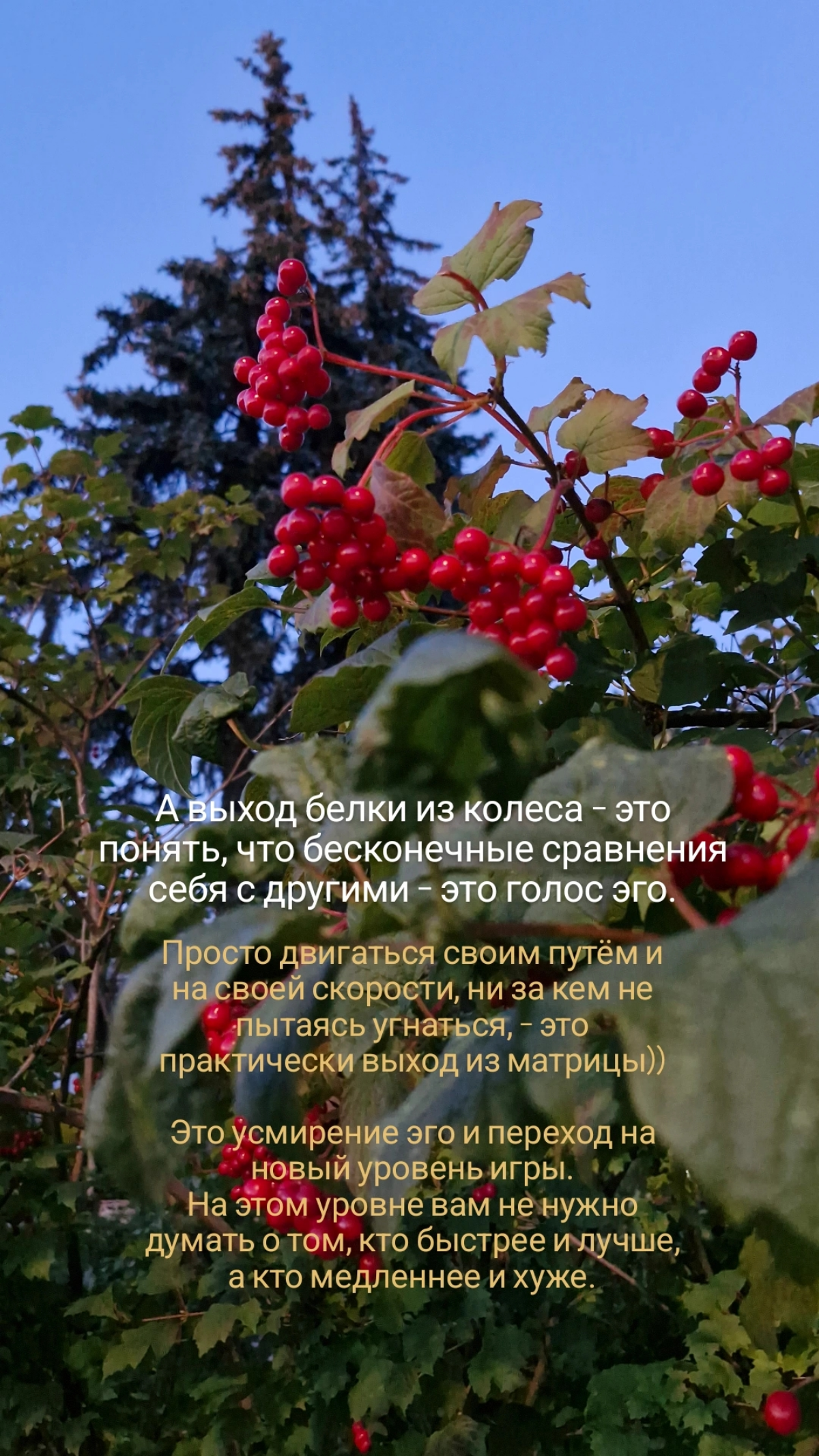 Про маленькие и незаметные шаги | Сетка — социальная сеть от hh.ru