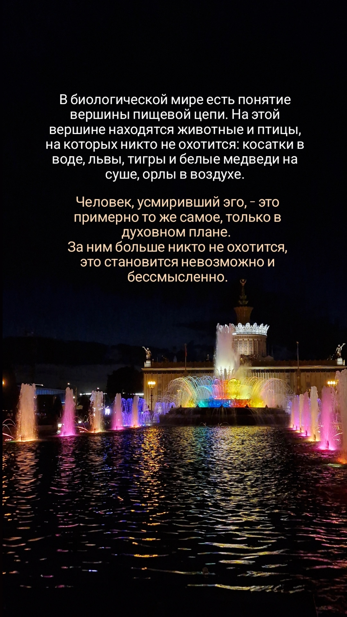 Про маленькие и незаметные шаги | Сетка — социальная сеть от hh.ru