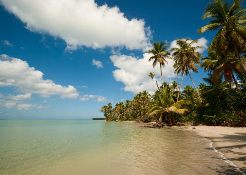 Punta Cana Alternative Shaking Up Travel To The Dominican Republic
Discover the All-Inclusive Paradise of Miches, Dominican Republic
The Dominican Republic may not have invented the all-inclusive vaca... | Сетка — социальная сеть от hh.ru