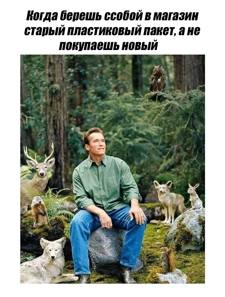 Поддерживаем внутренние социально значимые проекты | Сетка — социальная сеть от hh.ru
