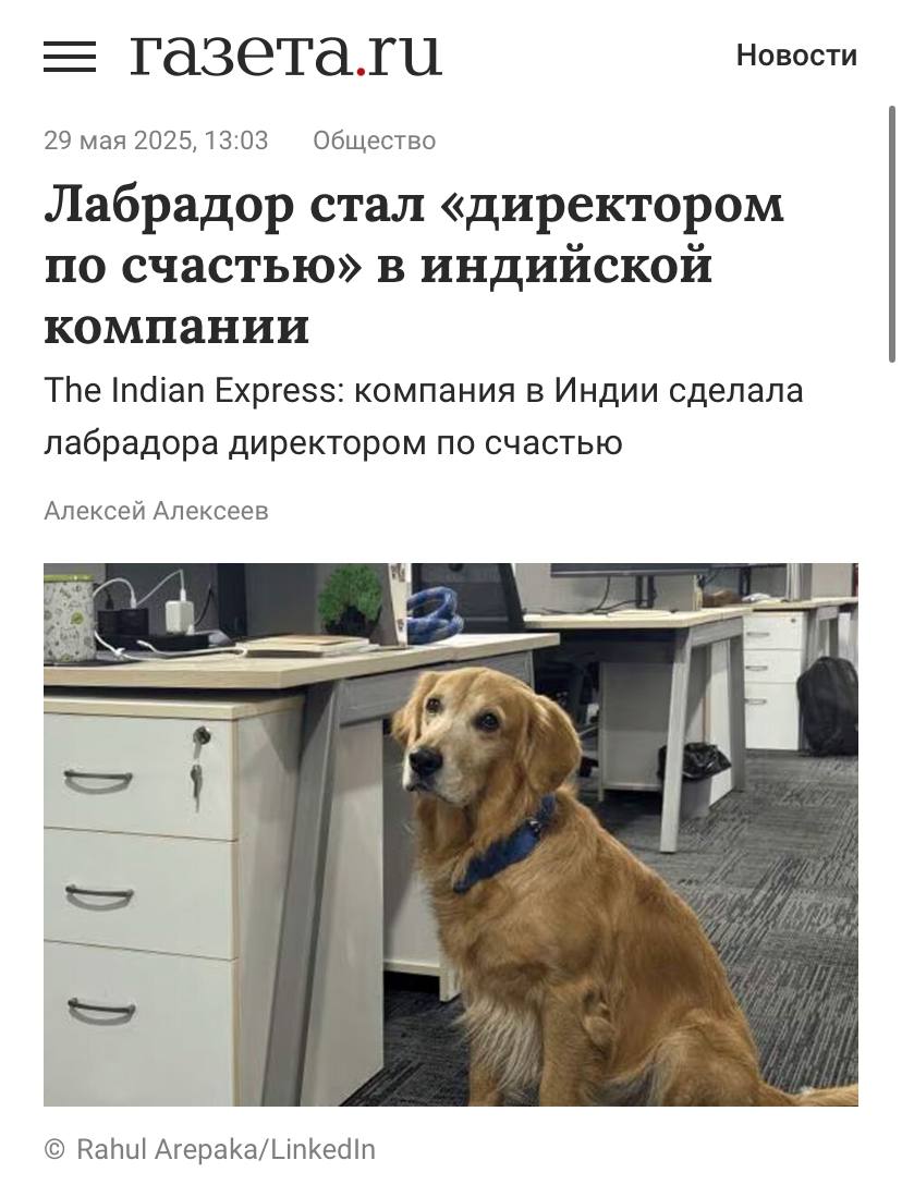 Директор по счастью😄
Им стал лабрадор Дэнвер, у которого есть:

визитка
рабочая почта
график встреч!

А из задач: приветствие сотрудников по утрам, поддержка в перерывах и создание комфортной обстанов... | Сетка — социальная сеть от hh.ru
