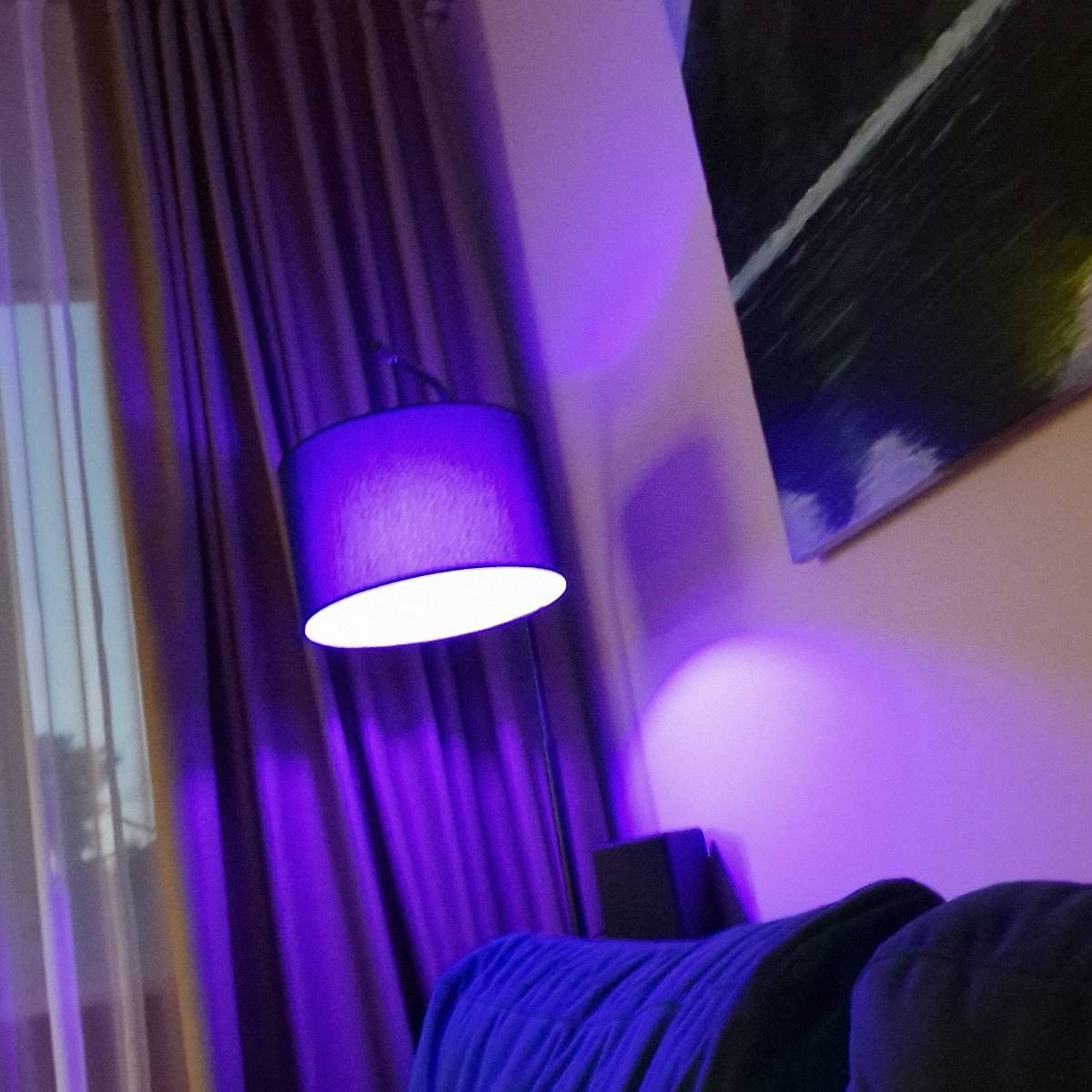 Максим Курылёв | Сетка — социальная сеть от hh.ru