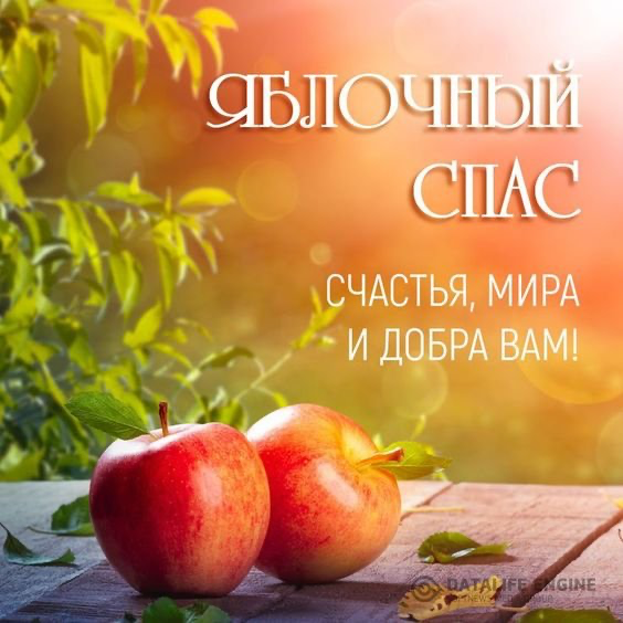 Поздравляем! | Сетка — социальная сеть от hh.ru