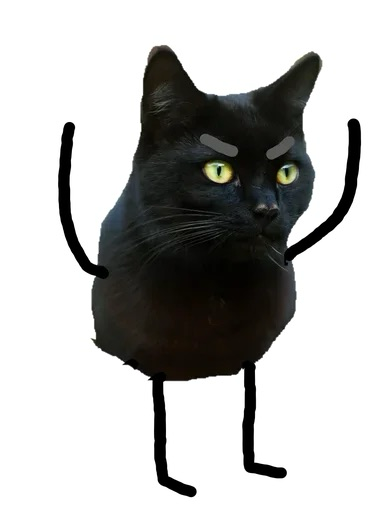 comment image
