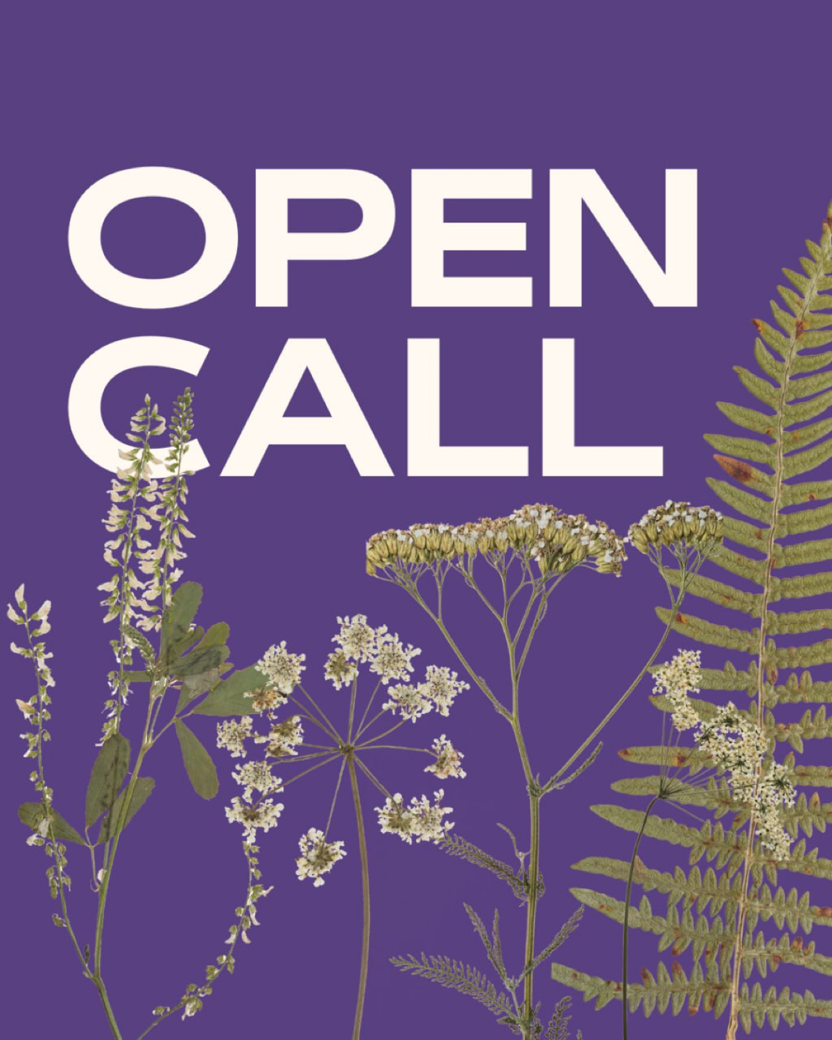 OPEN CALL для тех, кто давно хотел прочитать лекцию | Сетка — социальная сеть от hh.ru