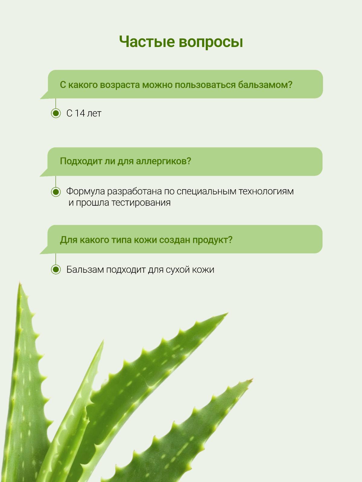 Карточки для МП | Сетка — социальная сеть от hh.ru