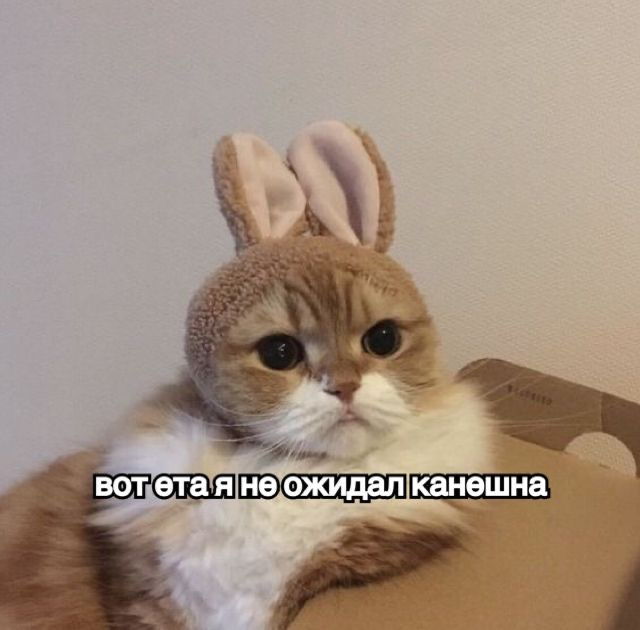 Вот и сказочки конец. | Сетка — социальная сеть от hh.ru