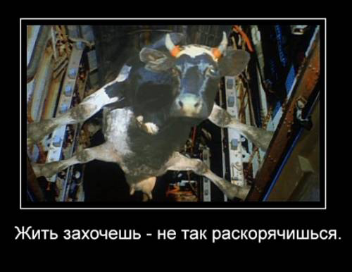 Как стать предпринимателем💪
Объясняю одной картинкой👊 | Сетка — социальная сеть от hh.ru
