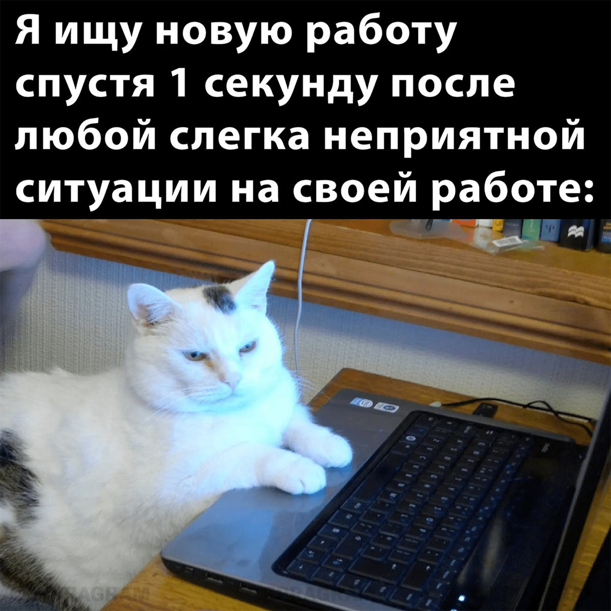 ✨ Как часто нужно менять работу? ✨ | Сетка — социальная сеть от hh.ru