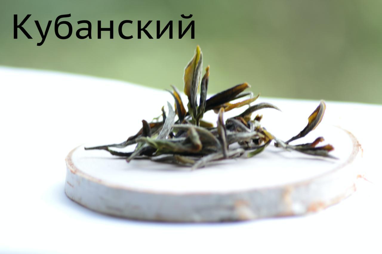 Еще весной я получил посылку от Антона Бехтера, в которой были образцы краснодарского чая от проекта «Чай Колхида» | Сетка — социальная сеть от hh.ru