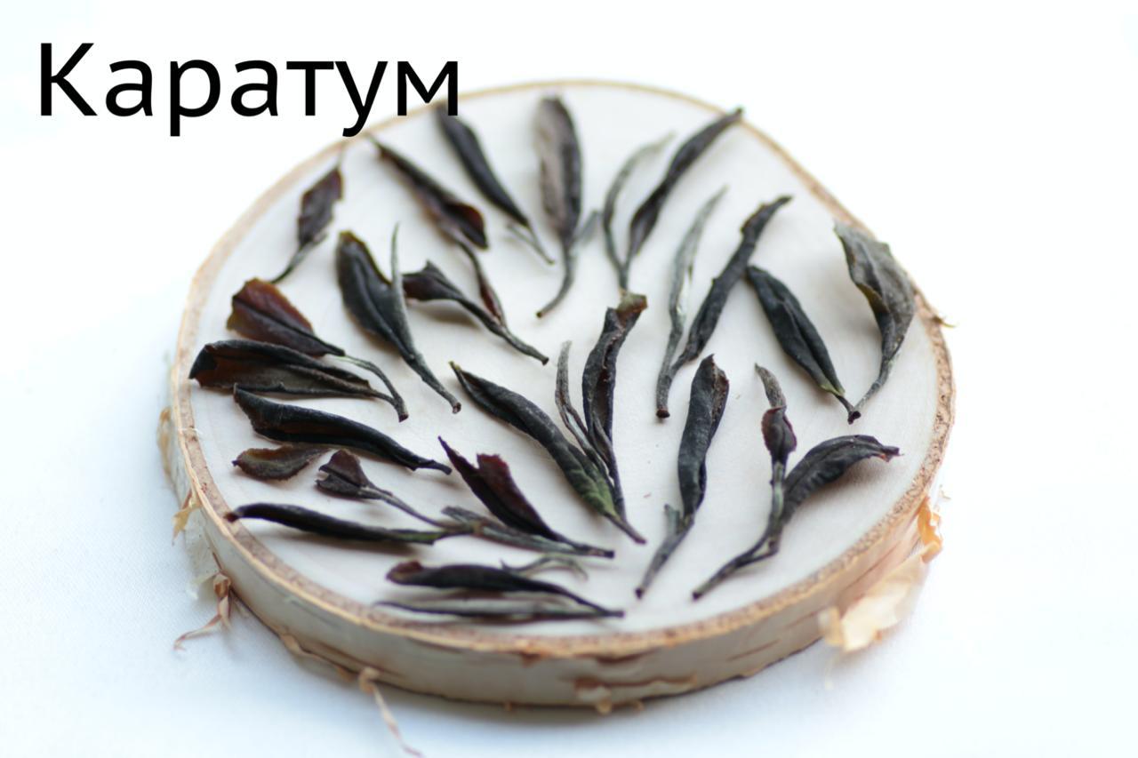 Еще весной я получил посылку от Антона Бехтера, в которой были образцы краснодарского чая от проекта «Чай Колхида» | Сетка — социальная сеть от hh.ru
