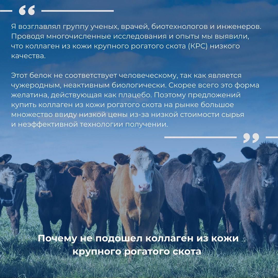 Как создавался коллаген Proficoll
Рассказывает основатель бренда Иван Котов
Коллаген Proficoll это:
▫️Инновационный продукт от российских биотехнологов
▫️Запатентованная технология
▫️Сертификаты безоп... | Сетка — социальная сеть от hh.ru