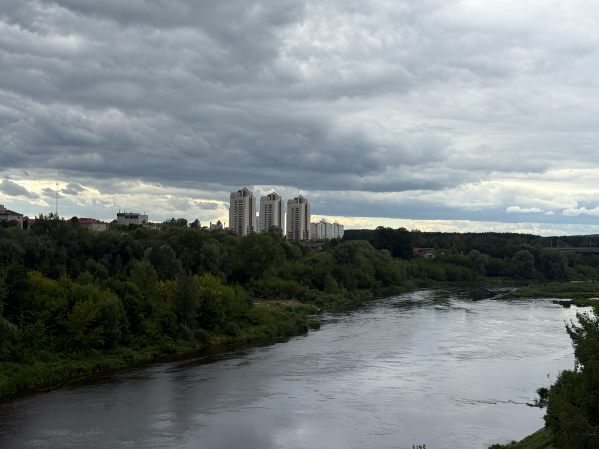 Вопрос дня | Сетка — социальная сеть от hh.ru