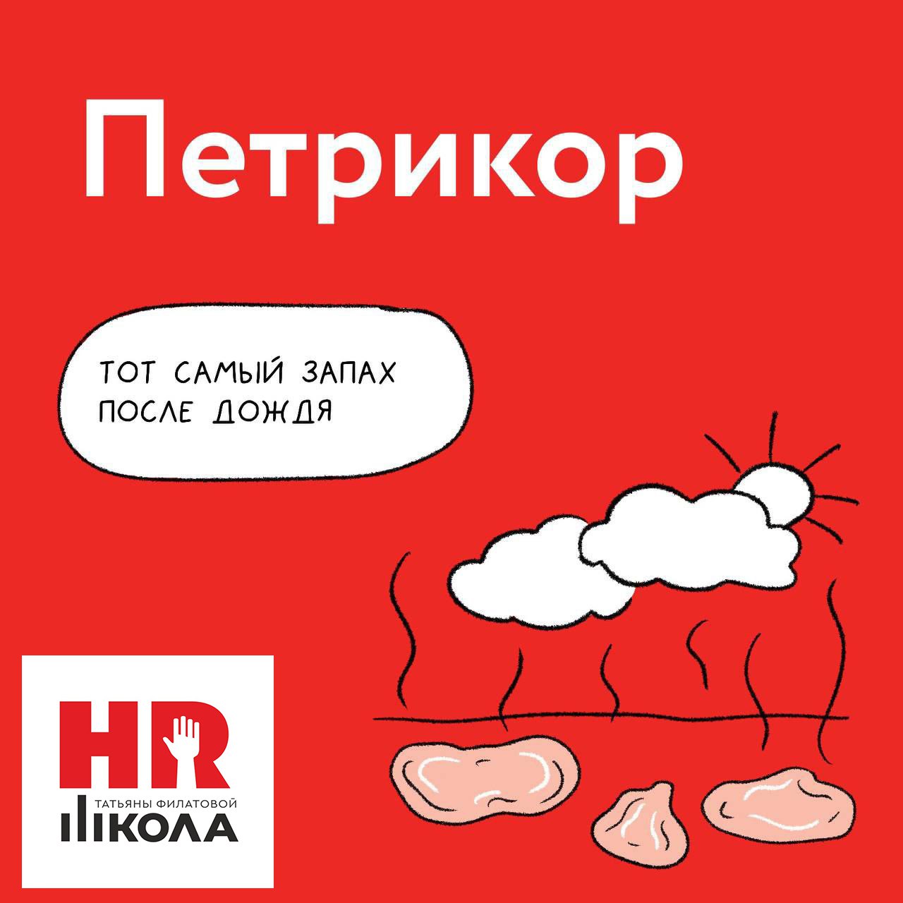 🔴Топ пять самых забываемых слов
Минимум трое из пяти, а то и все четверо у нас в команде являются людьми пишущими. Кто-то реже, кто-то практикуется ежедневно | Сетка — социальная сеть от hh.ru