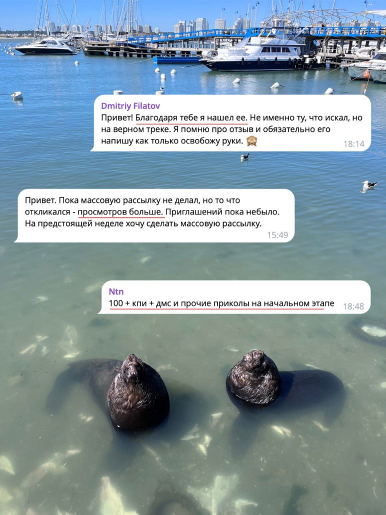 С каждый днем мне приходит все больше заказов на создание резюме | Сетка — социальная сеть от hh.ru