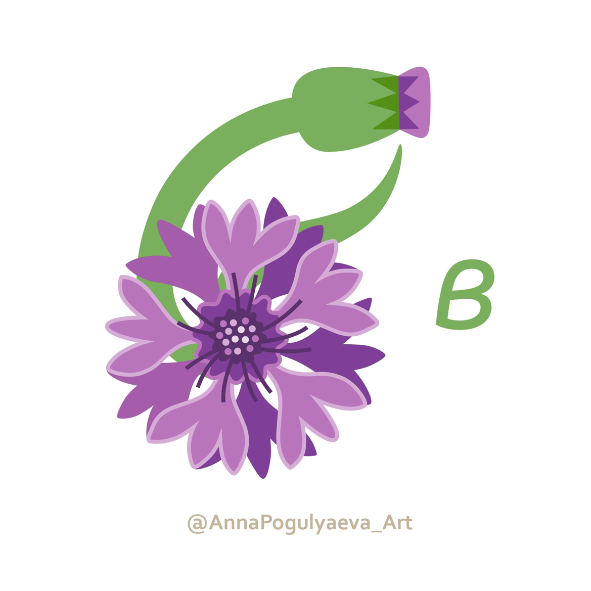Буква В - Василек. «Буквоцвет» мой цветочный алфавит | Сетка — социальная сеть от hh.ru